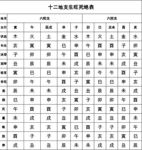 十二地支陰陽|地支